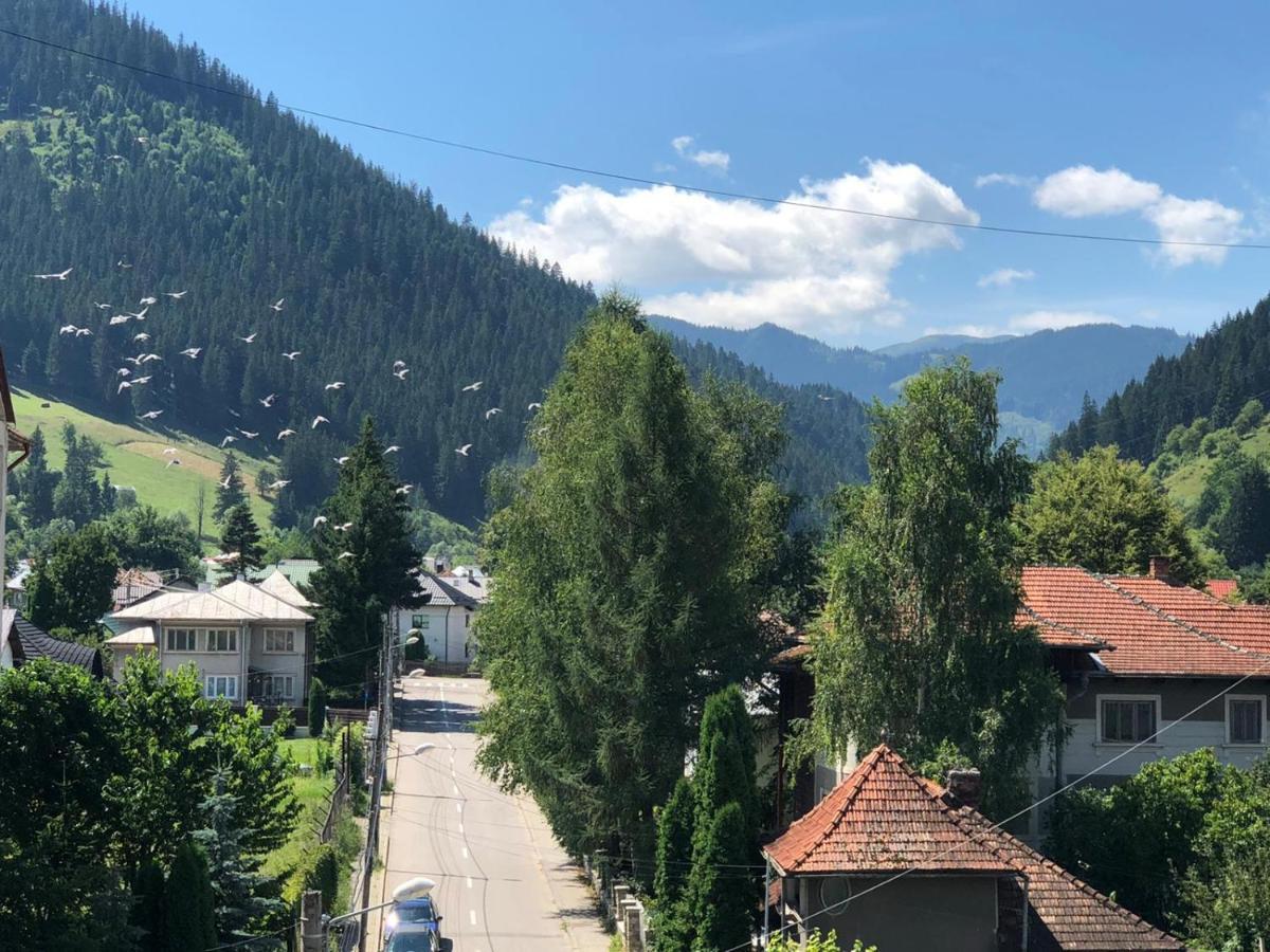 Bucovina View Apartment Campulung Moldovenesc Exterior photo